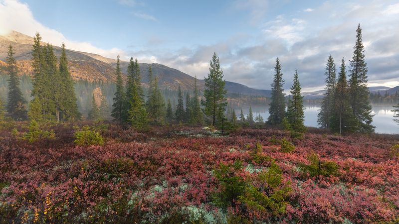 Хибинская осень. фото превью
