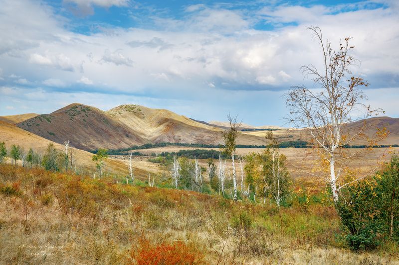 Степной аккорд осени фото превью
