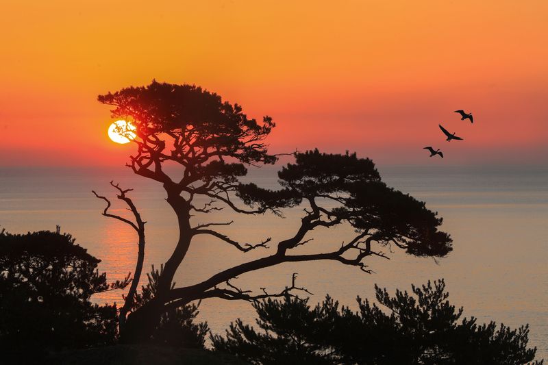 краски Приморьяphoto preview