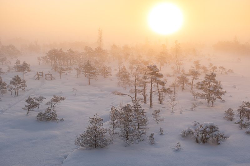 Скоро зима…photo preview