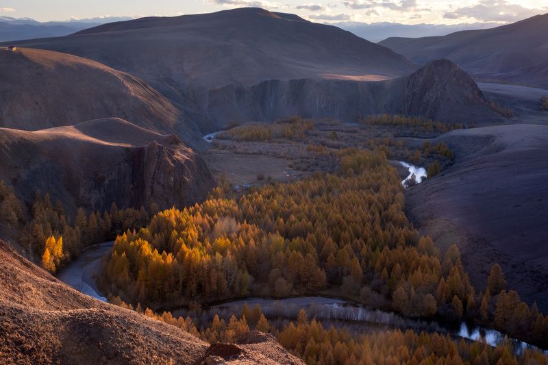 Алтай, Кокоря вечерний Кокоряphoto preview