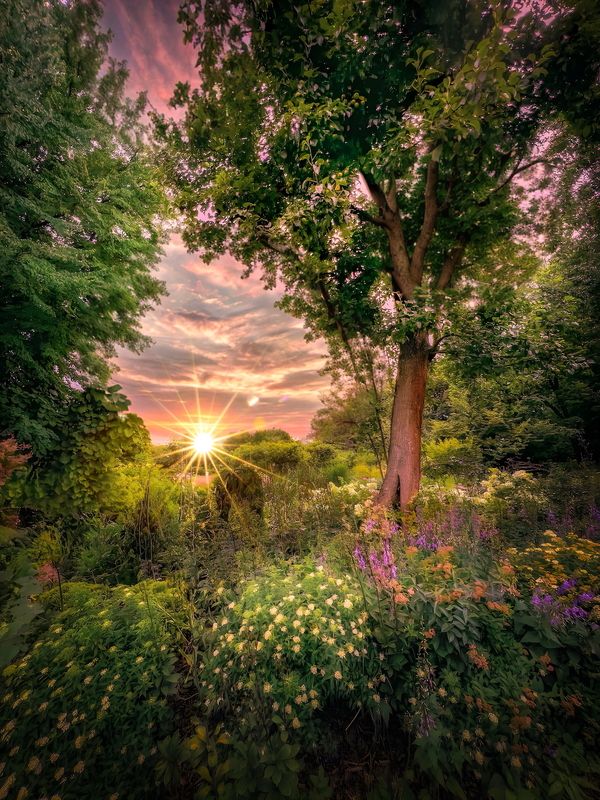 пейзаж, landscape, nature, природа, лето, summer, закат, sunset ***photo preview