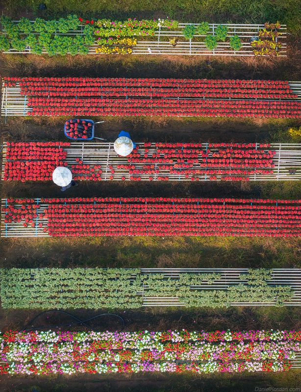 Vietnamphoto preview