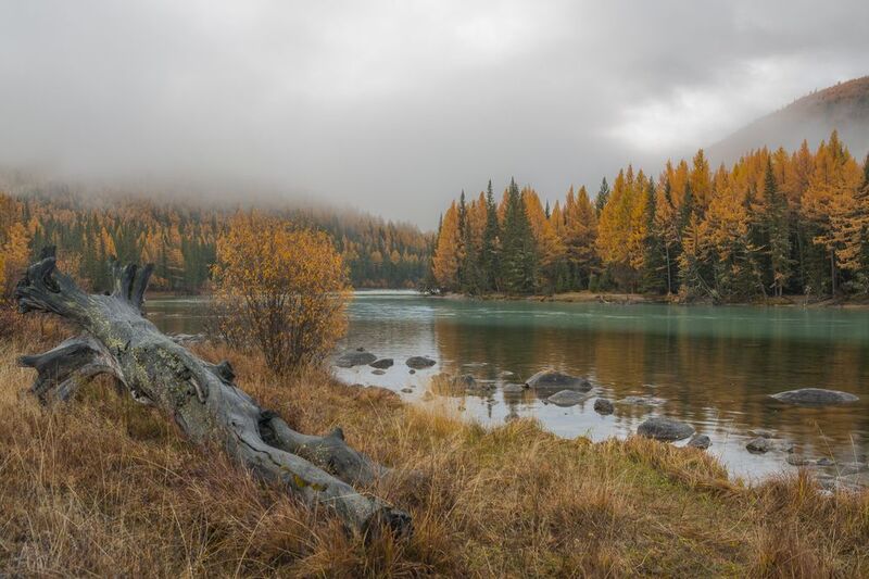 россия, горный алтай, река, утро, туман, осень Утро туманное...photo preview