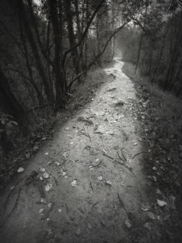 чб, пейзаж, осень, настроение, пикториализм Состояние - октябрь.photo preview