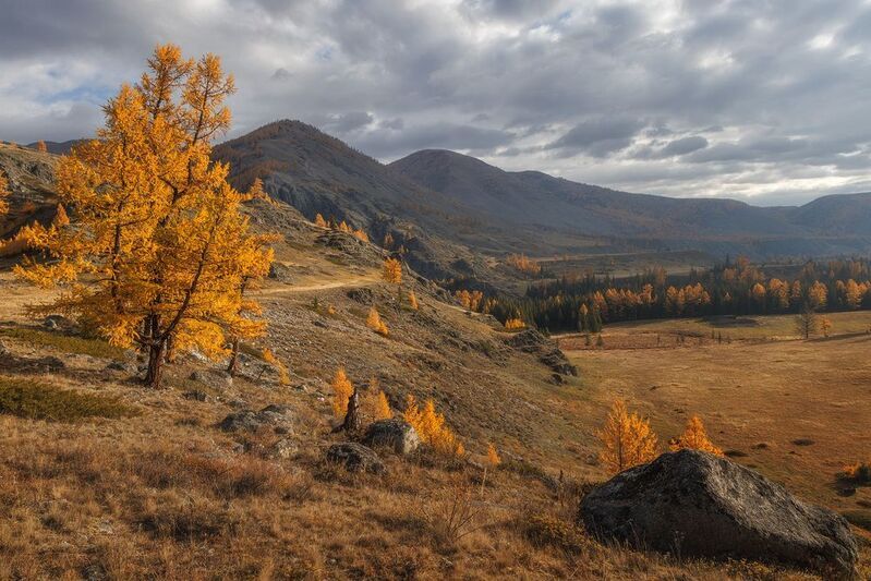 Горный Алтайphoto preview