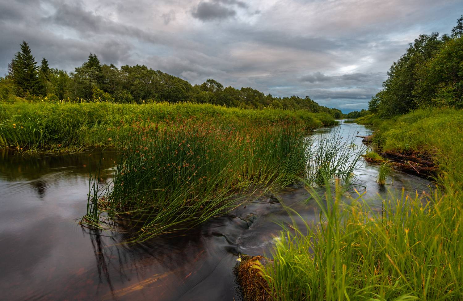 великий двор,вологодчина,кема,север, Роман Горячий