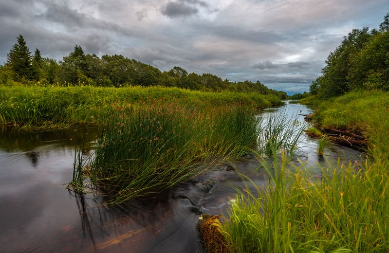 великий двор,вологодчина,кема,север  фото превью