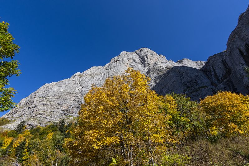 Осень не за горами...photo preview