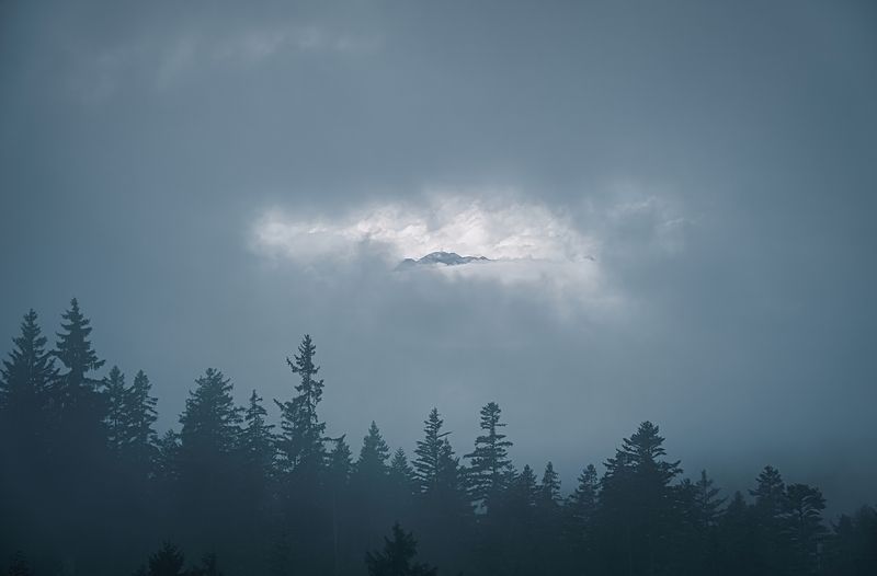 Сквозь тучи и туман густойphoto preview