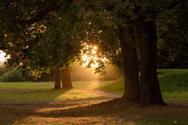 коломенское, москва, вечер Осенний вечер в Коломенскомphoto preview