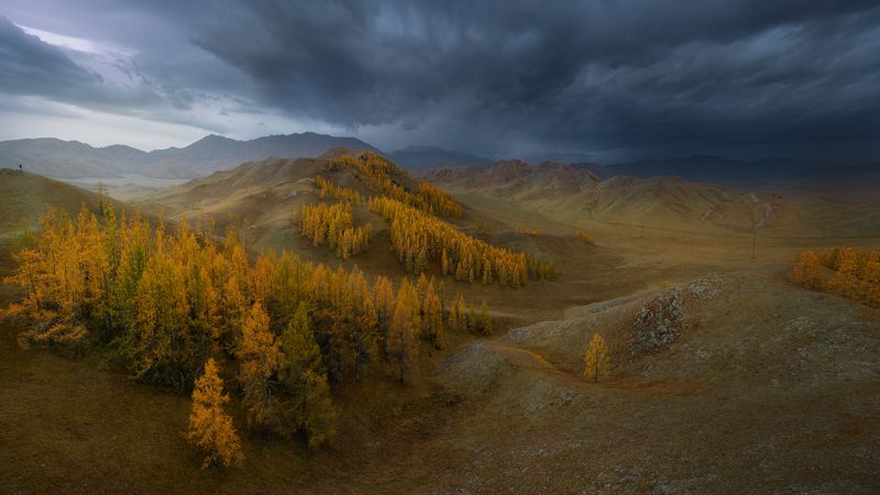 Кажется дождь начинается...photo preview