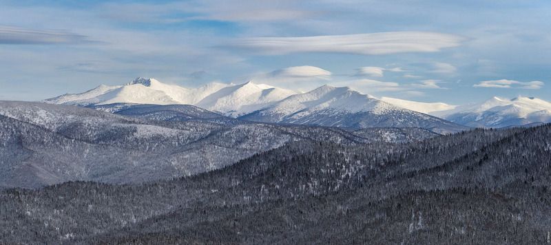 поднебесные, зубья Поднебесные зубьяphoto preview