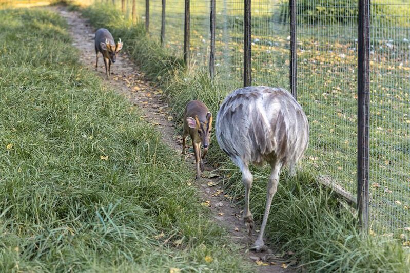 Ты что такое?photo preview