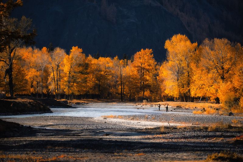 altay, autumn, fishing, river, landscape, outdoor ***photo preview