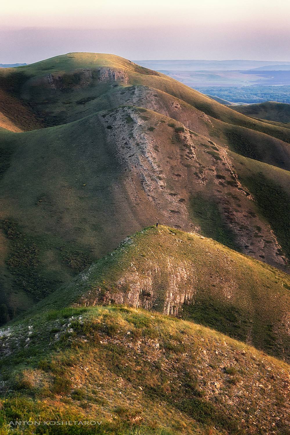 , Антон Кошетаров