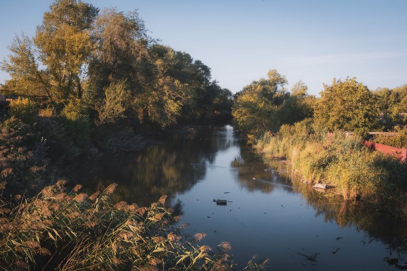река, осень, лес, пейзаж, кагальник, р Кагальник.photo preview