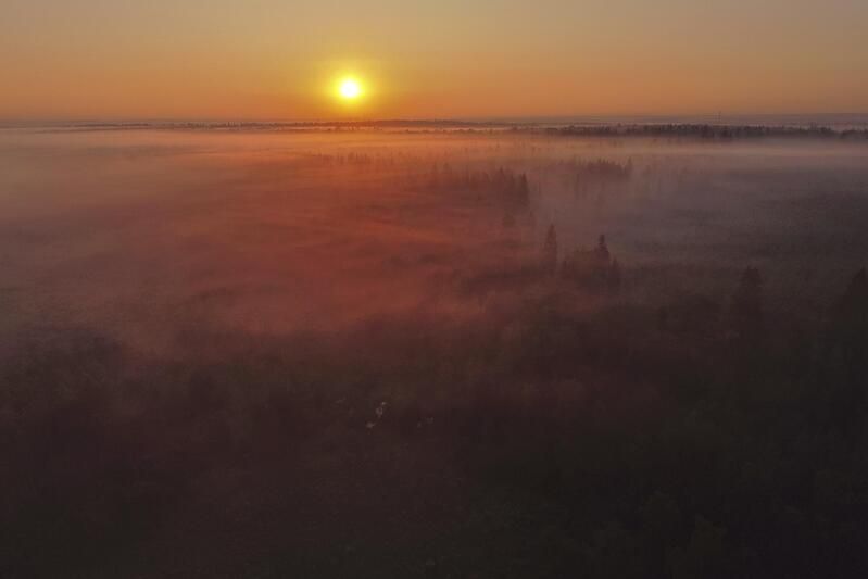 Истра Лес Подмосковье Туман Рассвет Рассвет в бассейне Истрыphoto preview