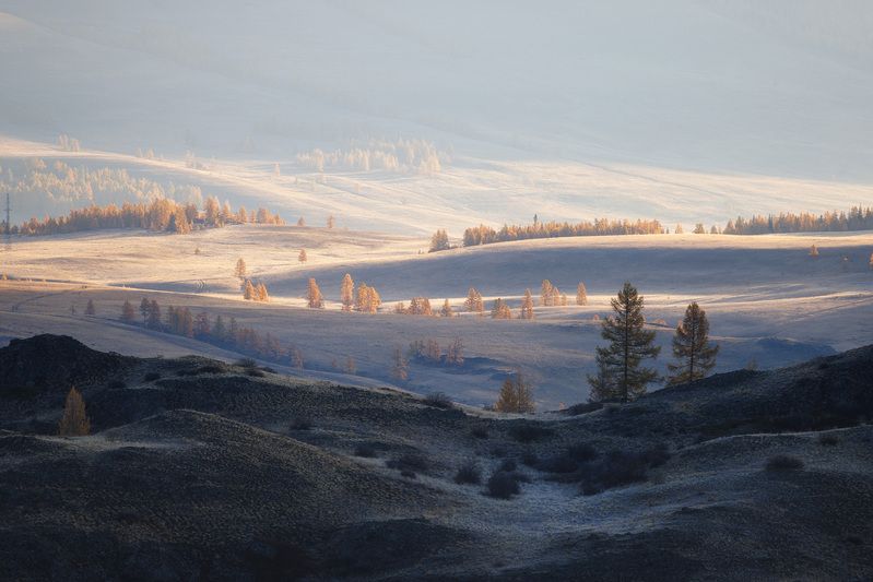алтай, рассвет, горный алтай Из света в теньphoto preview
