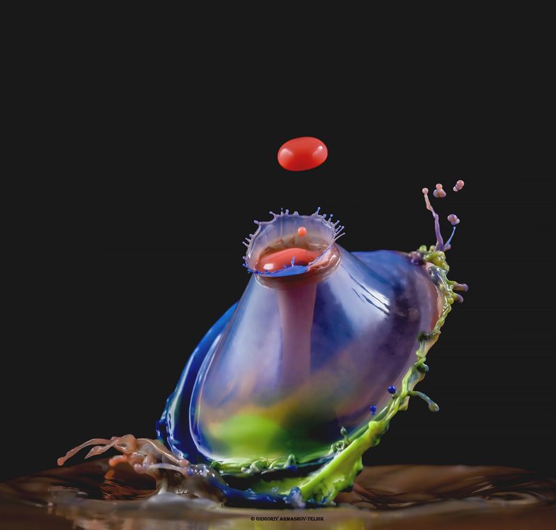 #color_image, #color, #drop, #liqiud, #macro, #water, #macrophoto Три цвета в одном нарядеphoto preview