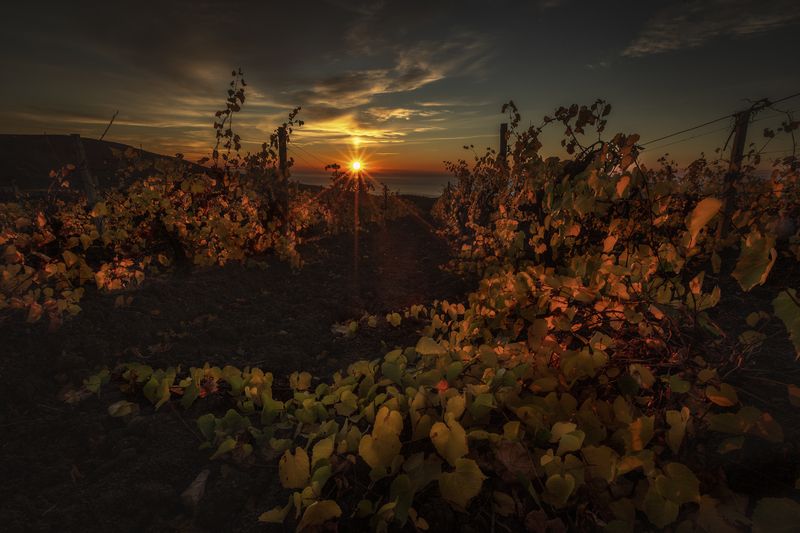 Крым photo preview