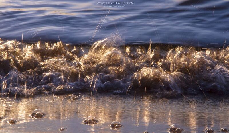 волна, движение, свет, вода, импульс, эскиз, нити, минимализм, абстракция, концепт Золотые нитиphoto preview