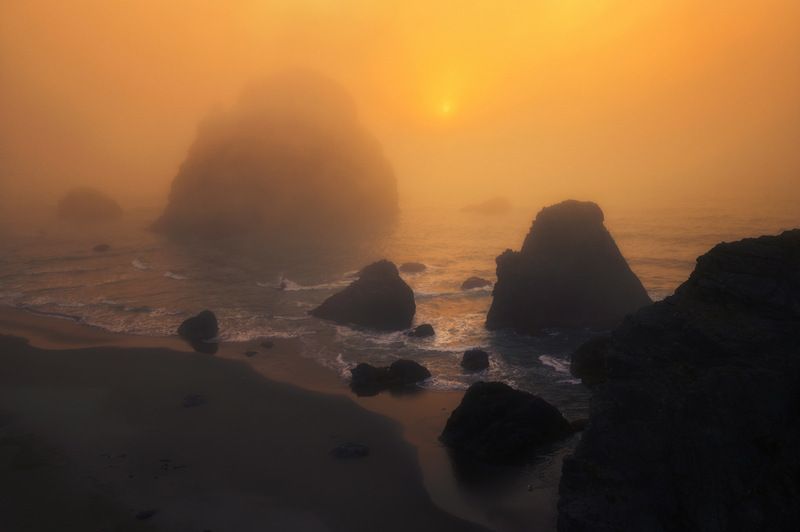 в апельсиновом туманеphoto preview