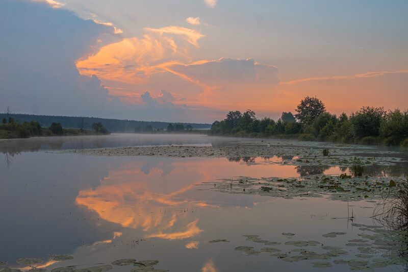 лето озеро рассвет облака отражение природа пейзаж Летнее утро.photo preview