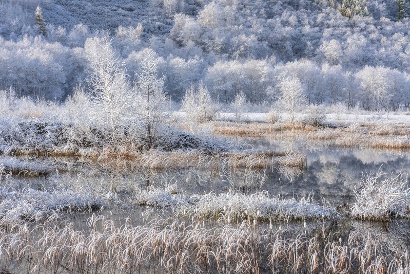 Первый снегphoto preview