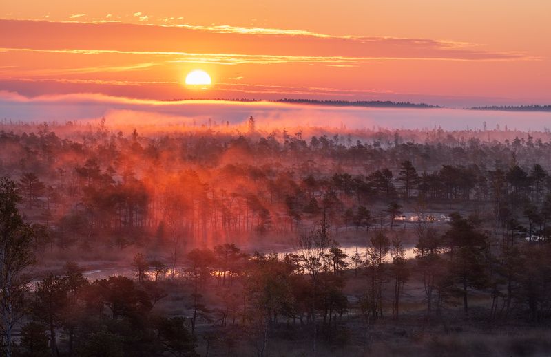 Утро на болоте. Октябрьphoto preview