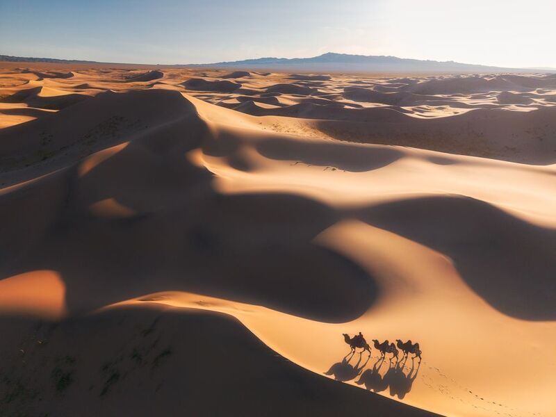 Гоби, Монголия. Караван в складках шелкаphoto preview