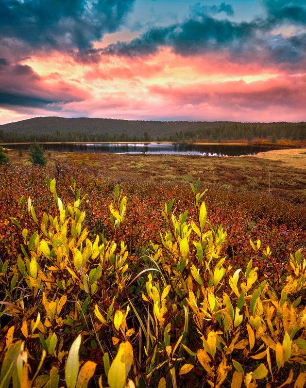 алтай, горы, осень, природа Алтайские краскиphoto preview