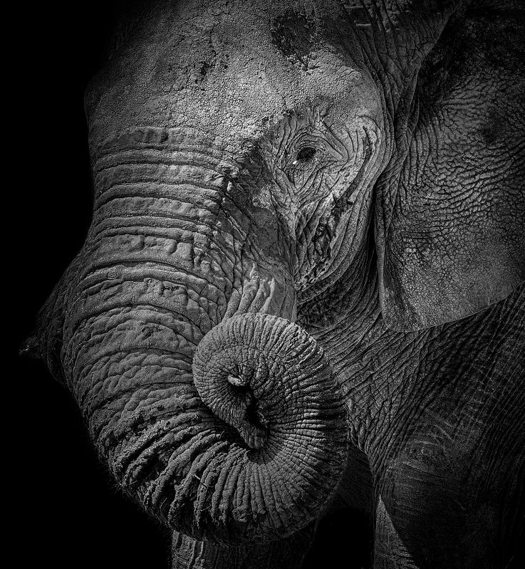 Намибийские истории...photo preview