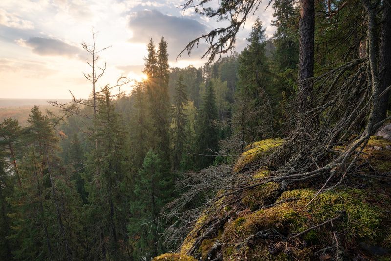 Утро в осенней тайгеphoto preview