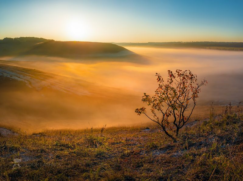 белгородская область, белогорье, осень, осенний, степь, заповедник, туман, туманное, гора, горное, холмистое, стенки – изгорья, рассвет, дерево, оранжевый, Туманный рассветphoto preview