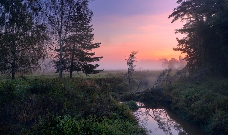 Запруда ...photo preview