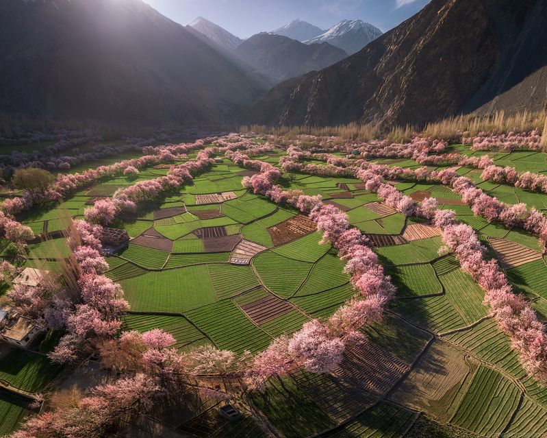 Pakistanphoto preview