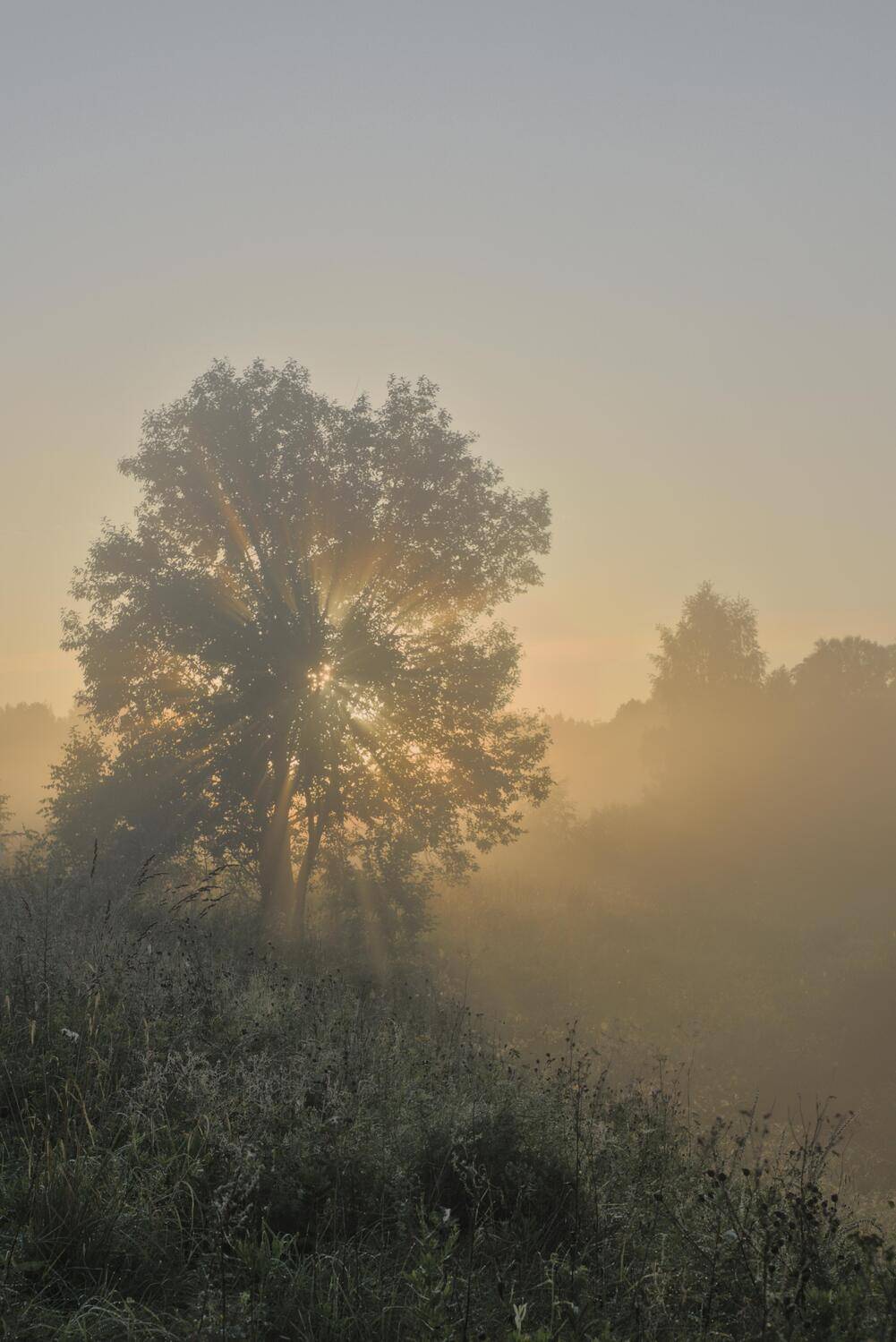 , Николай Потапов