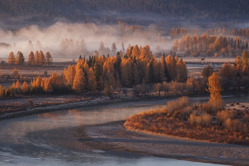алтай, горный алтай, утро, туман, лиственницы Горный Алтайphoto preview