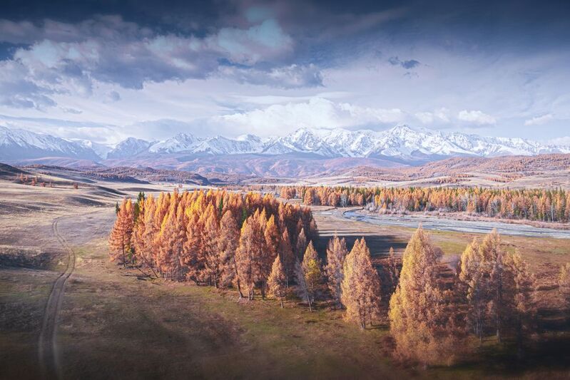 алтай, осень, курай,  горы, mountains, landscape, пейзаж, россия, природа, Осенний Алтайphoto preview