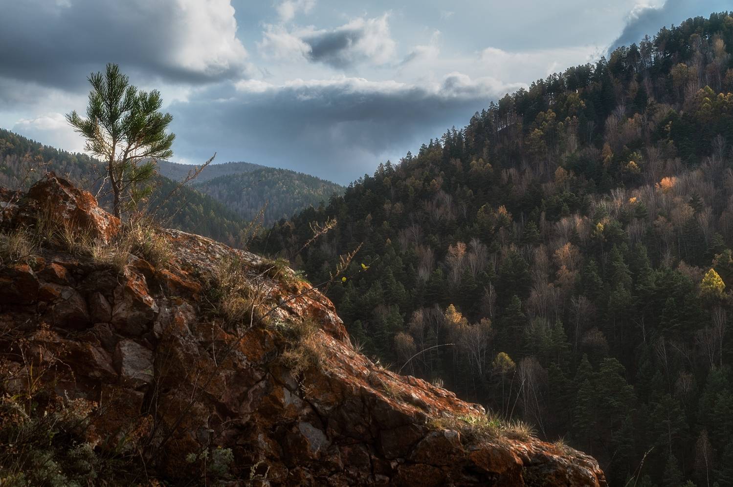 красноярские столбы, осень, Андреева Светлана