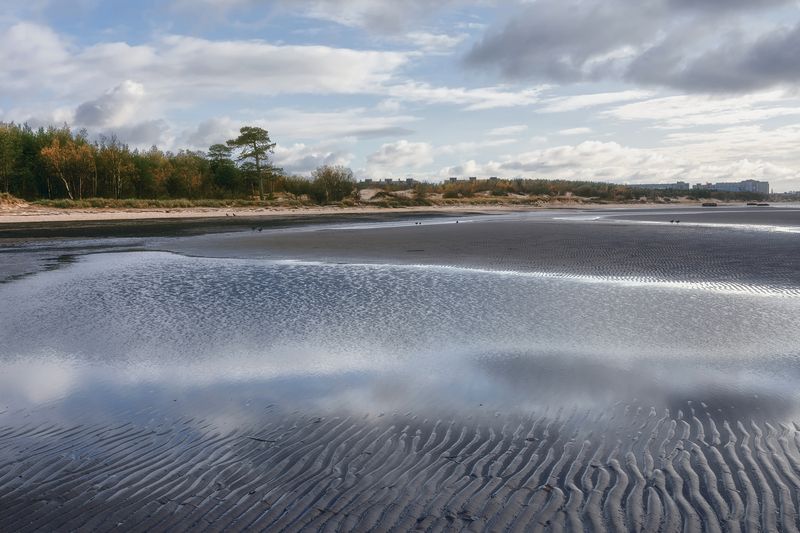 осень, сентябрь, белое море, вода, отлив, берег, побережье, песок, деревья, небо, облака остров Ягры, побережьеphoto preview