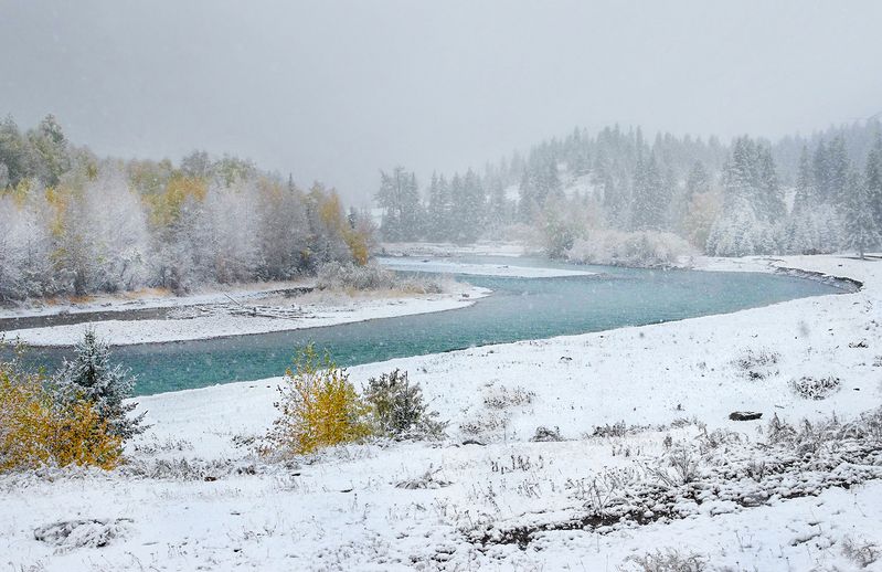алтай, осень, снег, река, горы, вода, чуя Холодная осеньphoto preview