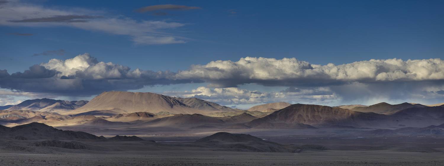 Автор: Игорь Щербаков , Игорь Щербаков