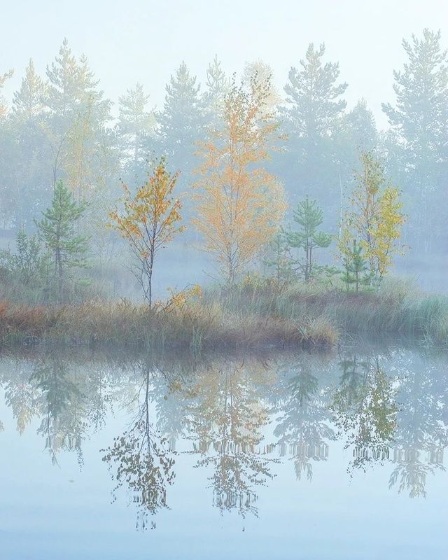 Осенняя туманностьphoto preview