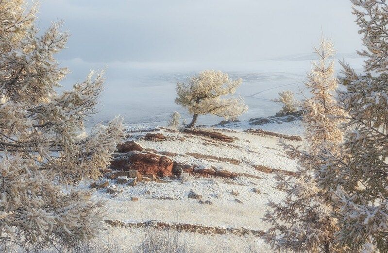 Утро туманноеphoto preview