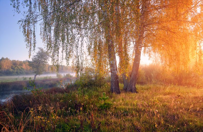 Ярче всего золота мира ... фото превью