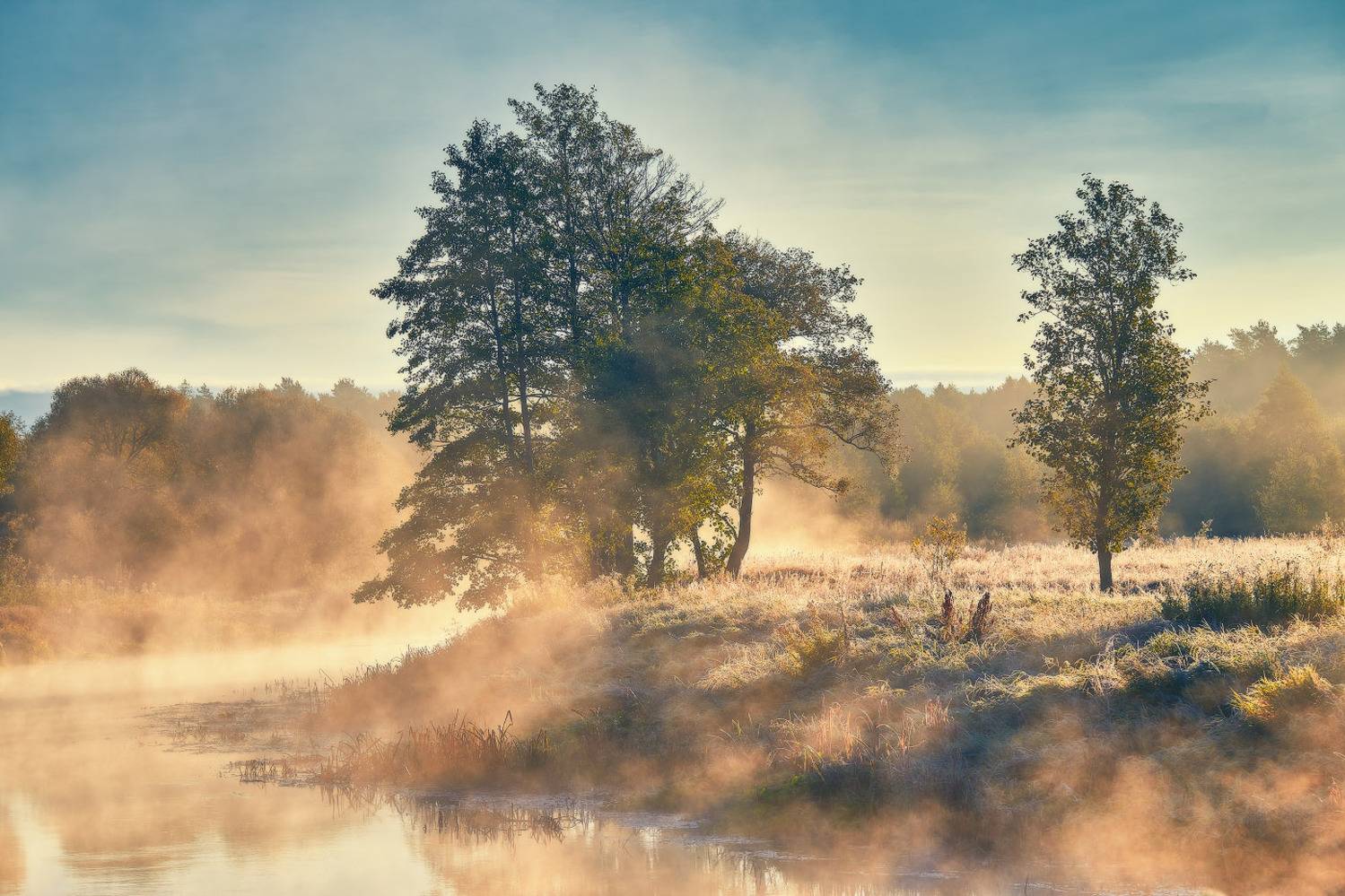 Осенний Свет. Автор: Вейзе Максим беларусь, заморозки, иней, неман, осень, рассвет, река, сентябрь, туман, утро, Вейзе Максим