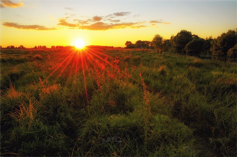 солнце лучи трава Солнце садитсяphoto preview
