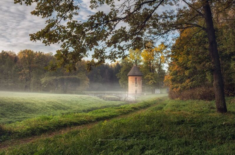 павловский парк, павловск, павловский, пейзаж, landscape, nature, санкт-петербург, питер, царское село Павловский парк в октябреphoto preview